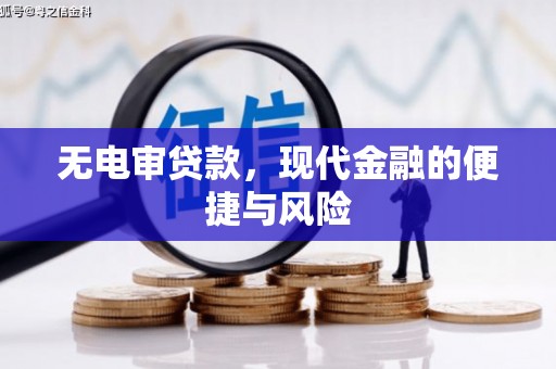 西林无电审贷款，现代金融的便捷与风险