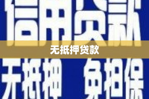 西林无抵押贷款