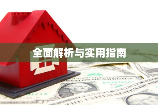 西林全面解析与实用指南