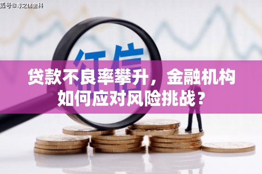 西林贷款不良率攀升，金融机构如何应对风险挑战？