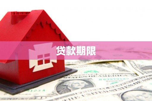 西林贷款期限