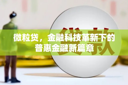 西林微粒贷，金融科技革新下的普惠金融新篇章