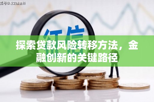西林探索贷款风险转移方法，金融创新的关键路径