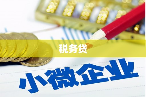 西林税务贷