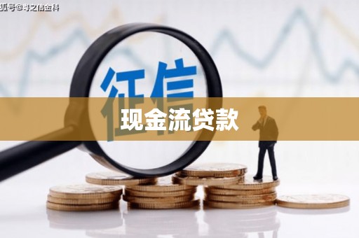 西林现金流贷款