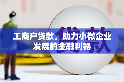 西林工商户贷款，助力小微企业发展的金融利器