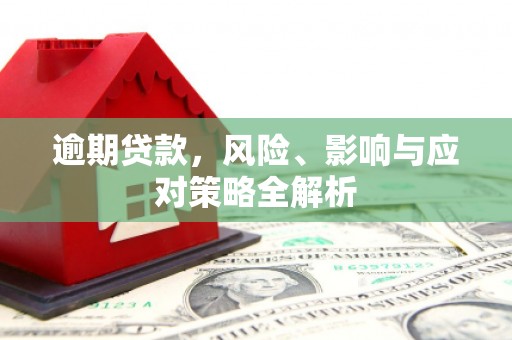 西林逾期贷款，风险、影响与应对策略全解析
