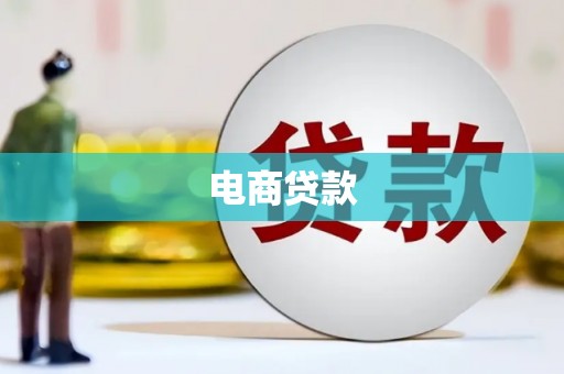 西林电商贷款