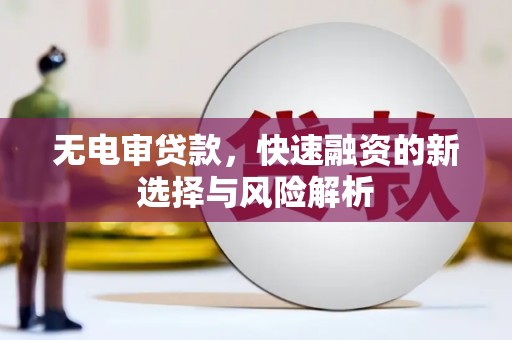 西林无电审贷款，快速融资的新选择与风险解析