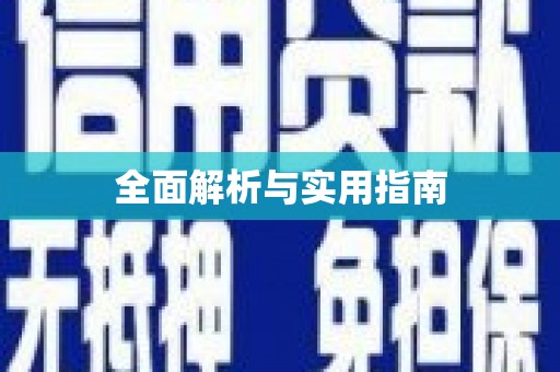 西林全面解析与实用指南