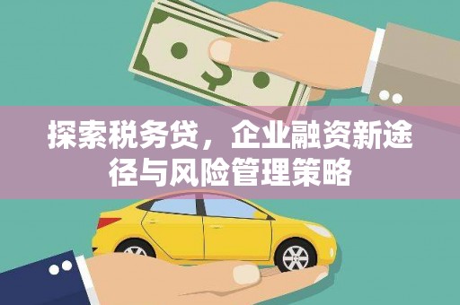 西林探索税务贷，企业融资新途径与风险管理策略
