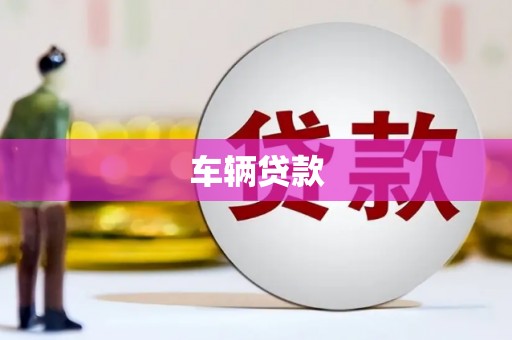 西林车辆贷款