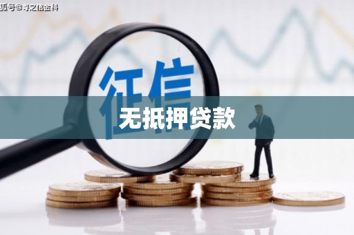 西林无抵押贷款
