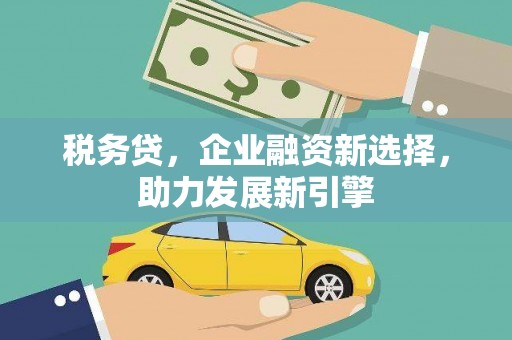 西林税务贷，企业融资新选择，助力发展新引擎