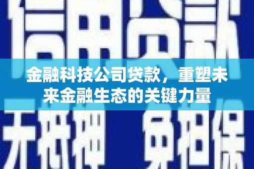 西林金融科技公司贷款，重塑未来金融生态的关键力量