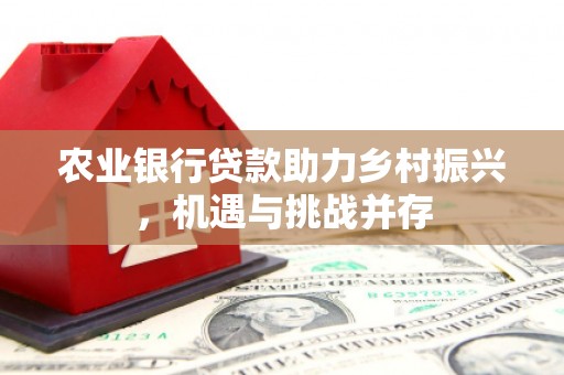 西林农业银行贷款助力乡村振兴，机遇与挑战并存