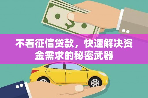西林不看征信贷款，快速解决资金需求的秘密武器