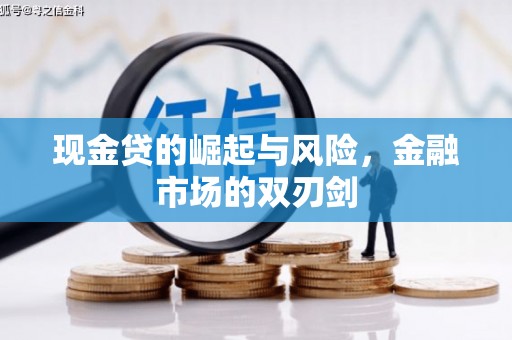 西林现金贷的崛起与风险，金融市场的双刃剑