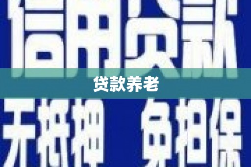 西林贷款养老