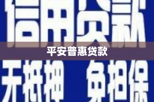 西林平安普惠贷款