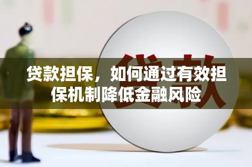 西林贷款担保，如何通过有效担保机制降低金融风险