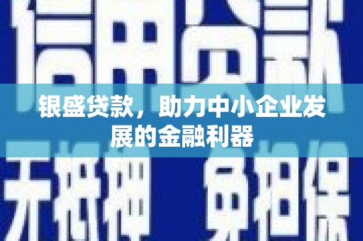 西林银盛贷款，助力中小企业发展的金融利器