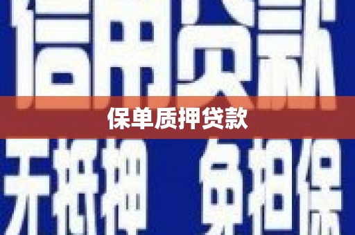 西林保单质押贷款