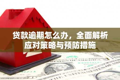 西林贷款逾期怎么办，全面解析应对策略与预防措施