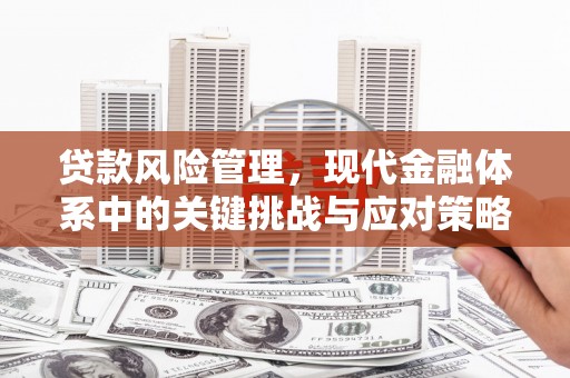 西林贷款风险管理，现代金融体系中的关键挑战与应对策略