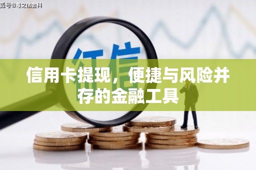 西林信用卡提现，便捷与风险并存的金融工具