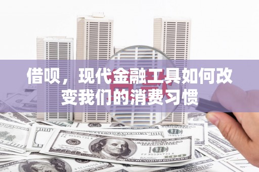 西林借呗，现代金融工具如何改变我们的消费习惯