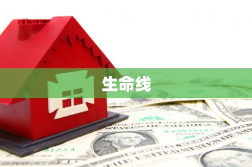 西林生命线