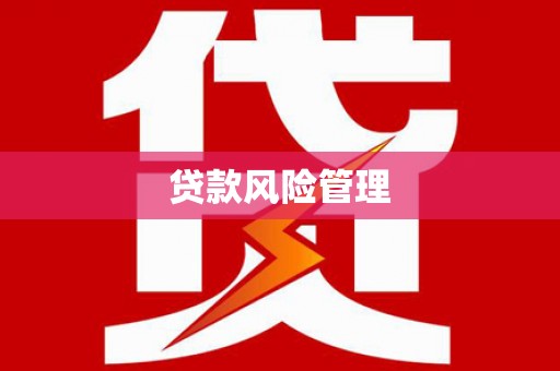 西林贷款风险管理