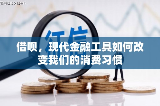 西林借呗，现代金融工具如何改变我们的消费习惯