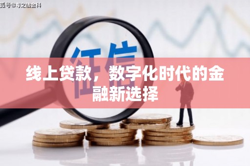 西林线上贷款，数字化时代的金融新选择