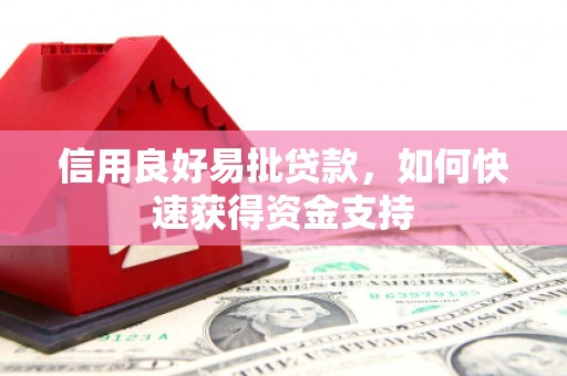 西林信用良好易批贷款，如何快速获得资金支持