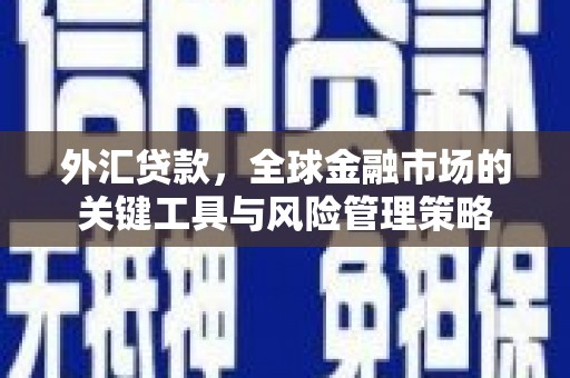 西林外汇贷款，全球金融市场的关键工具与风险管理策略