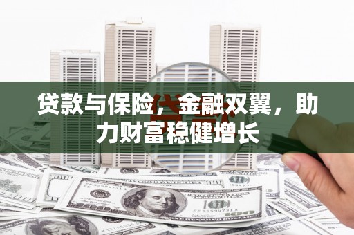 西林贷款与保险，金融双翼，助力财富稳健增长
