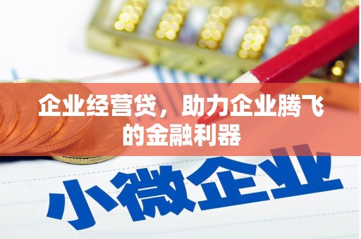 西林企业经营贷，助力企业腾飞的金融利器