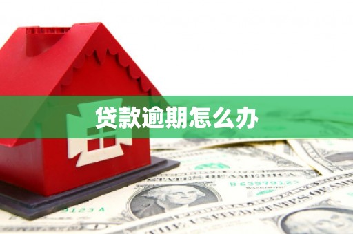 西林贷款逾期怎么办