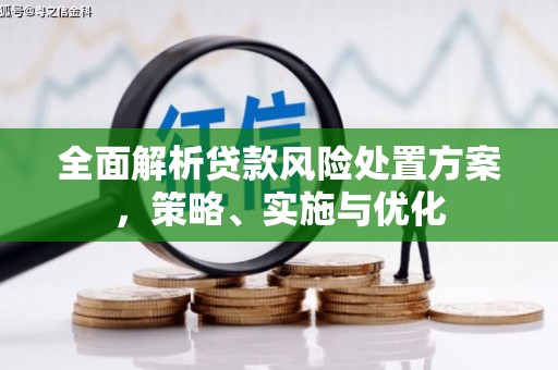 西林全面解析贷款风险处置方案，策略、实施与优化