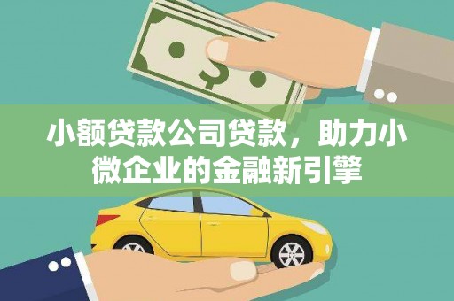 西林小额贷款公司贷款，助力小微企业的金融新引擎