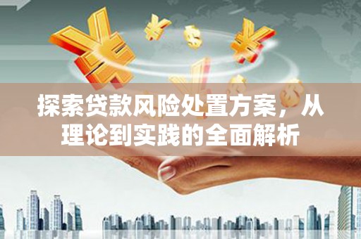 西林探索贷款风险处置方案，从理论到实践的全面解析