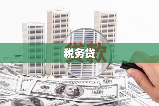 西林税务贷