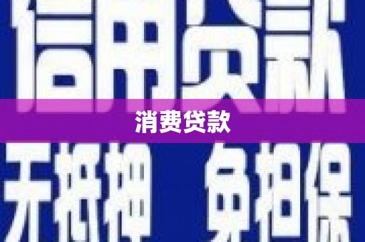 西林消费贷款