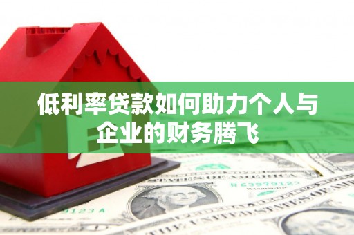 西林低利率贷款如何助力个人与企业的财务腾飞