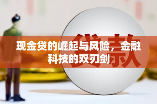 西林现金贷的崛起与风险，金融科技的双刃剑