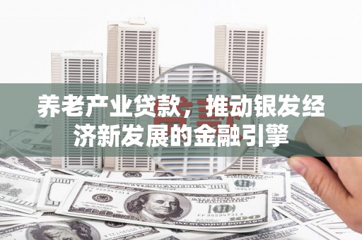 西林养老产业贷款，推动银发经济新发展的金融引擎