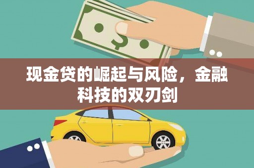 西林现金贷的崛起与风险，金融科技的双刃剑