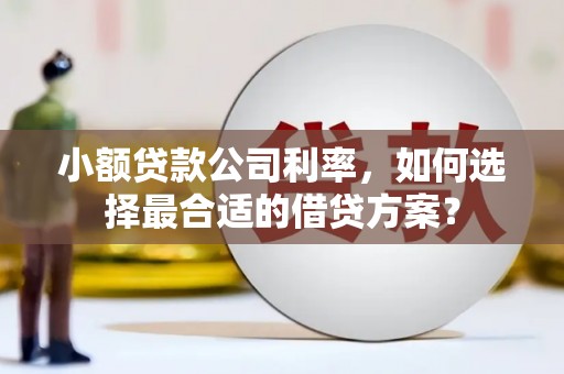 西林小额贷款公司利率，如何选择最合适的借贷方案？